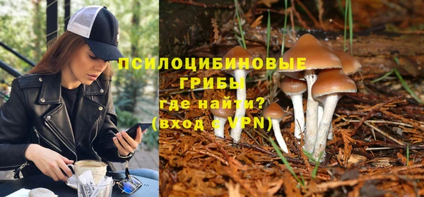 соль ск Алексеевка