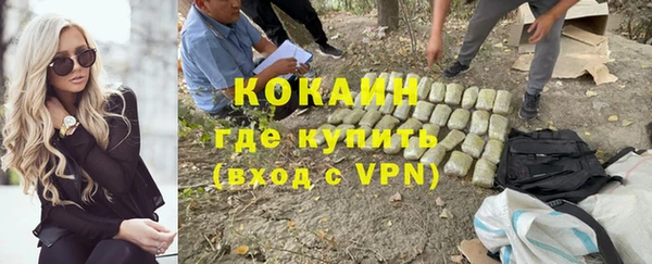 гидра Аркадак